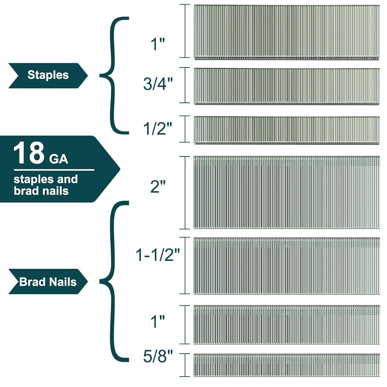 BRAD NAILS, BRAND, CATEGORY, TOICANN, Toicann18 Gauge Brad Nails(2",1-1/2",1",5/8") and 1/4" Crown Staples (1-1/2",1",3/4") Assorted 7 Sizes'18 GA Nail Gun Nails and Staples for Pneumatic, Electric Brad Nailer or Stapler